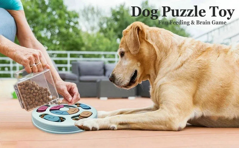 Giochi Puzzle per Cani