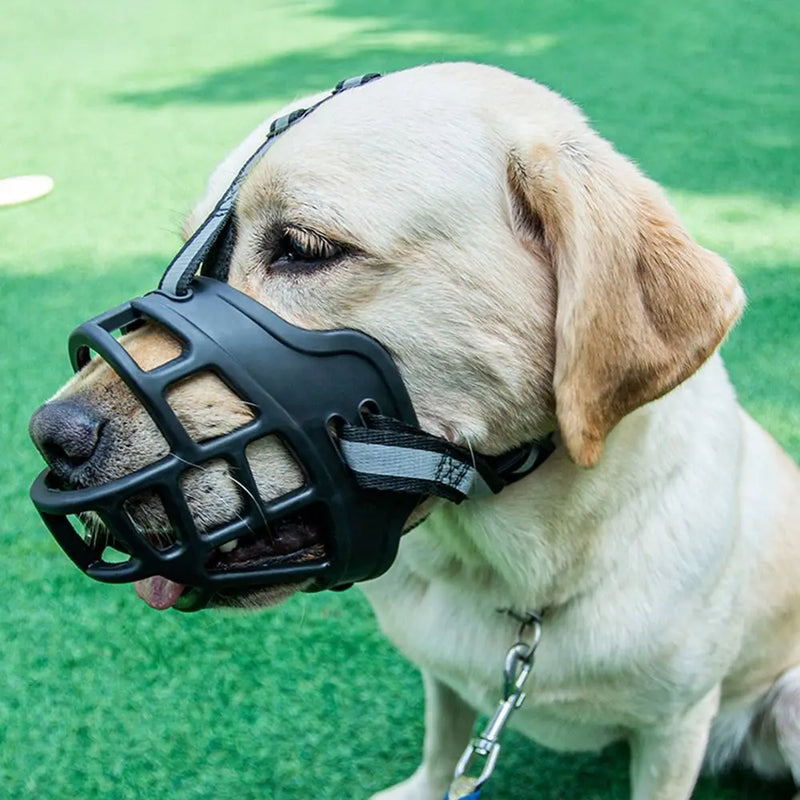 Museruola Leggera e Confortevole per Cani